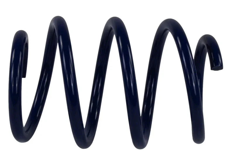Ford Racing Lowering Springs fits 2015-2020 Ford Mustang - Main Product View