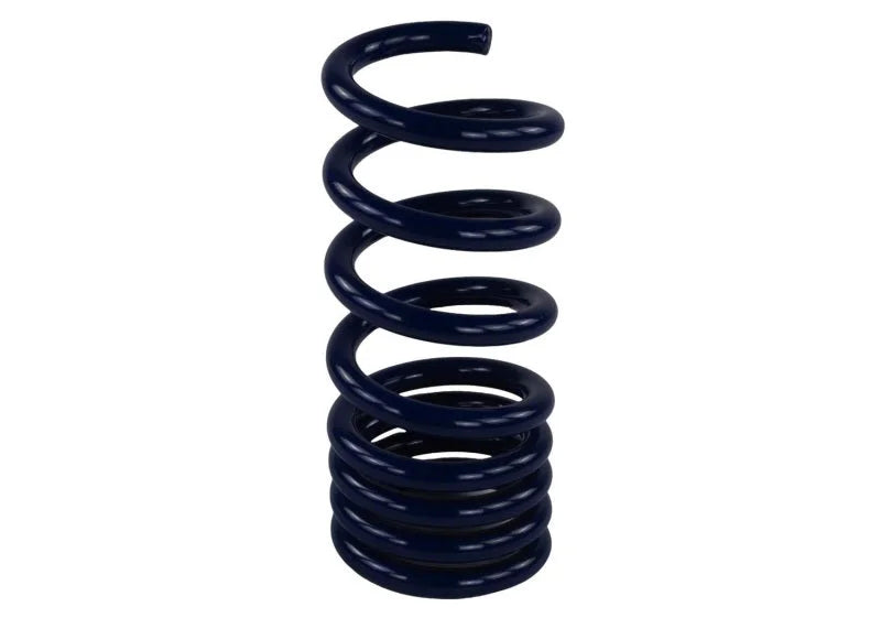 Ford Racing Lowering Springs fits 2015-2020 Ford Mustang - Back View