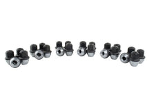 Load image into Gallery viewer, Ford Racing M14 x 1.5 Black Lug Nut - Set of 24 - Back View