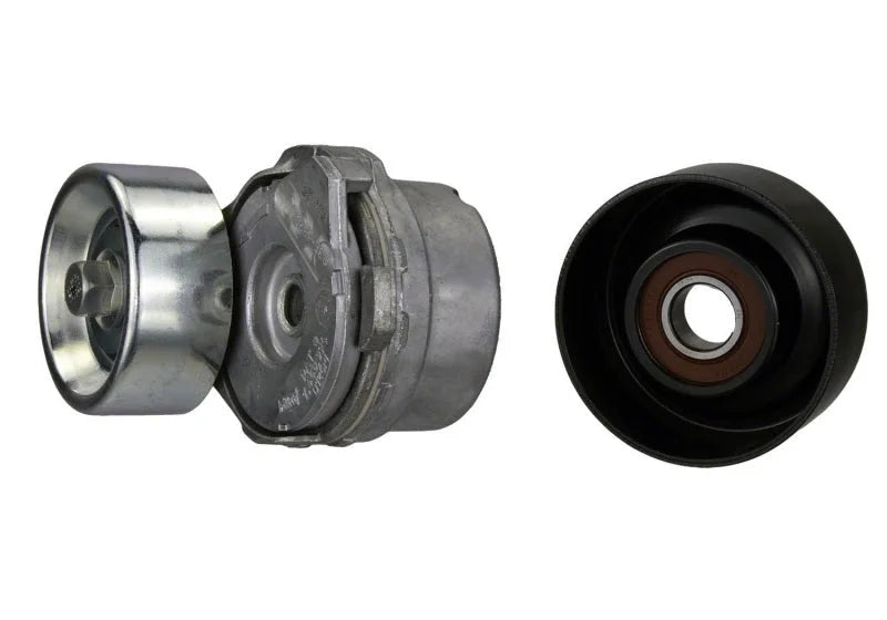 Ford Racing Mustang BOSS 302 Alternator Kit - Back View