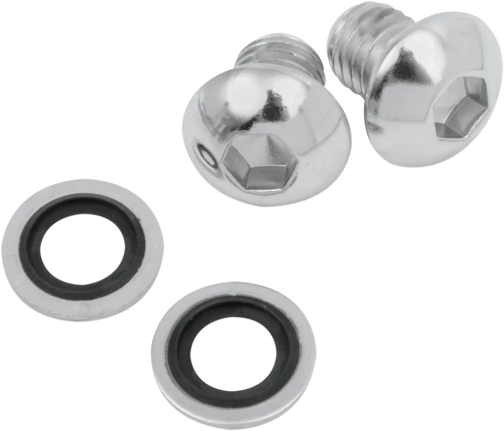 Fork Drain Bolt James Gasket JGI-45858-77-K - Main Product View