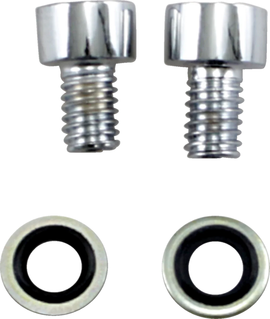 Fork Drain Bolt - Kit James Gasket JGI-45790-80-CS - Main Product View