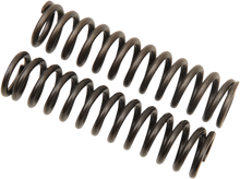 Load image into Gallery viewer, Fork Pressure Springs - 1.70 kg/mm - Main Product View