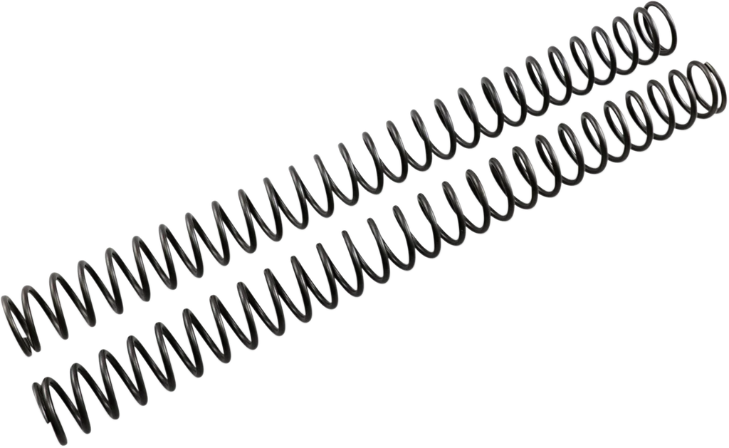 Front Fork Springs - 0.42 kg/mm - Main Product View