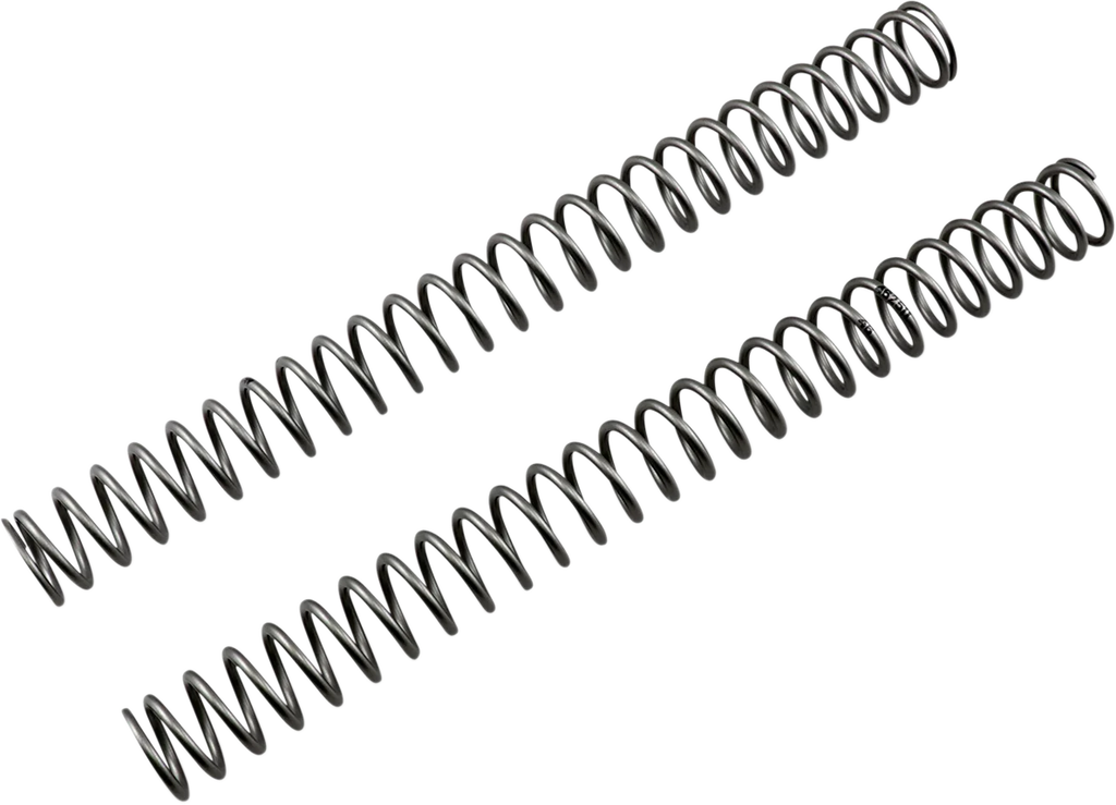 Front Fork Springs - 0.46 kg/mm - Main Product View
