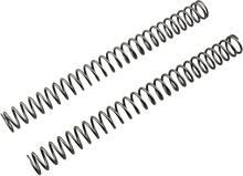 Load image into Gallery viewer, Front Fork Springs - 0.46 kg/mm - Main Product View