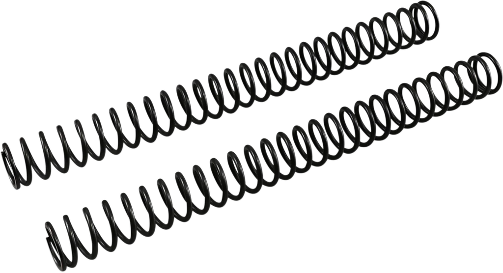 Front Fork Springs - 0.46 kg/mm - Main Product View