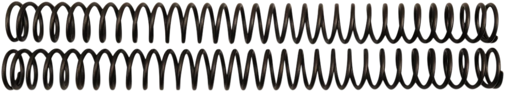 Front Fork Springs - 0.46 kg/mm - Main Product View