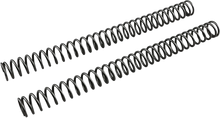 Load image into Gallery viewer, Front Fork Springs - 0.52 kg/mm - Main Product View