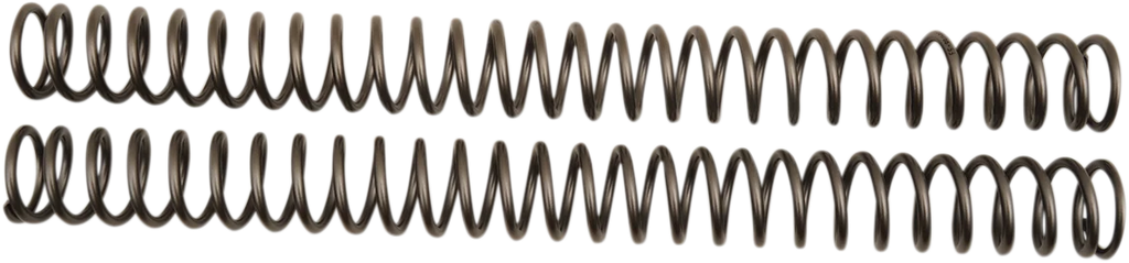 Front Fork Springs - 0.53 kg/mm - Main Product View