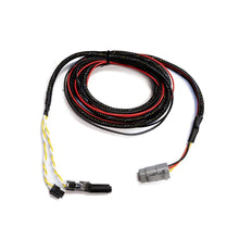Load image into Gallery viewer, FuelTech EGT-4 / Switch Panel Harness 2001006497