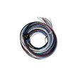 Load image into Gallery viewer, FuelTech FT450/550 A Harness 20ft