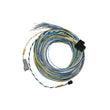 Load image into Gallery viewer, FuelTech FT550 B Harness 10ft