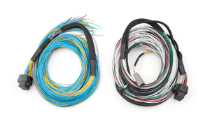 FuelTech FT600/FT700 Harness 10ft 2001004001
