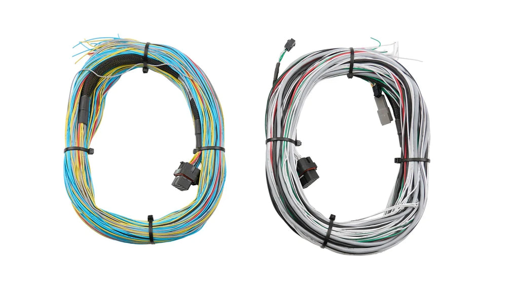 FuelTech FT600/FT700 Harness 20ft 2001004003