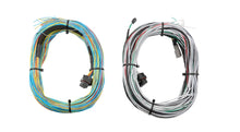 Load image into Gallery viewer, FuelTech FT600/FT700 Harness 20ft 2001004003