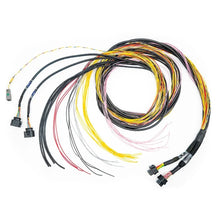 Load image into Gallery viewer, FuelTech FT700 C&amp;D Harness 10ft 2001008771