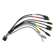 Load image into Gallery viewer, FuelTech FT700 Multimedia M Harness