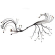 Load image into Gallery viewer, FuelTech LS550 V8 Complete Harness