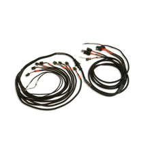 Load image into Gallery viewer, FuelTech PRO550/600 Ford V8 Smart Coil Complete Harness