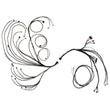 Load image into Gallery viewer, FuelTech PRO600 Ford V8 Complete Harness