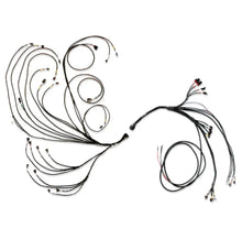 Load image into Gallery viewer, FuelTech PRO600 Ford V8 Complete Harness