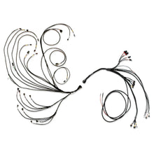Load image into Gallery viewer, FuelTech PRO600 V8 Complete Wiring Harness