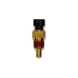 Load image into Gallery viewer, FuelTech Water Temperature Semsor