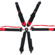 Load image into Gallery viewer, G-FORCE Racing Gear 6pt Harness Camlock Black SFI16.5 HNR