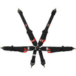 Load image into Gallery viewer, G-FORCE Racing Gear 6pt Harness Camlock HNR Indiv P/U Black  FIA