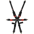 Load image into Gallery viewer, G-FORCE Racing Gear 6pt Harness Camlock Indiv Black Euro FIA
