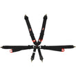 Load image into Gallery viewer, G-FORCE Racing Gear 6pt Harness Camlock Indiv P/D Black  FIA