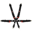 Load image into Gallery viewer, G-FORCE Racing Gear 6pt Harness Camlock Indiv P/U Black  FIA