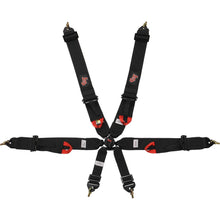 Load image into Gallery viewer, G-FORCE Racing Gear 6pt Harness Camlock Indiv P/U Black  FIA