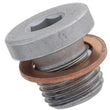 Load image into Gallery viewer, GETRAG Differential Drain Plug SP00637