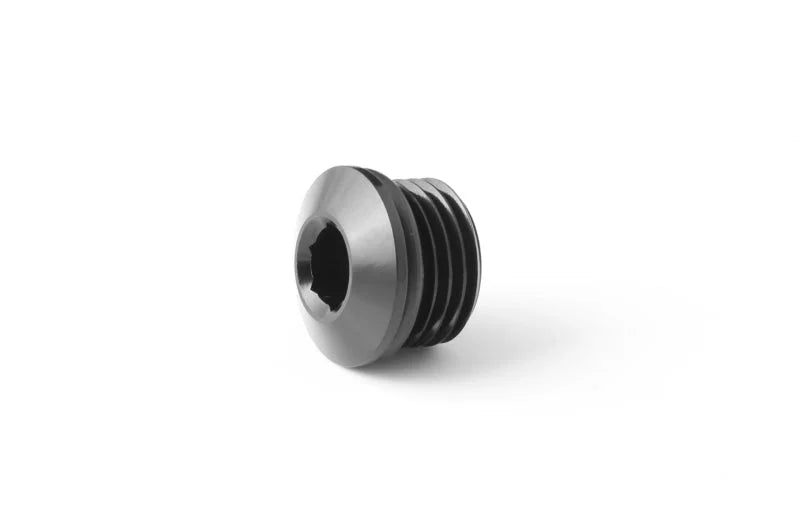 GFB -6AN Blanking Plug (Suits FXR 8060) - Main Product View