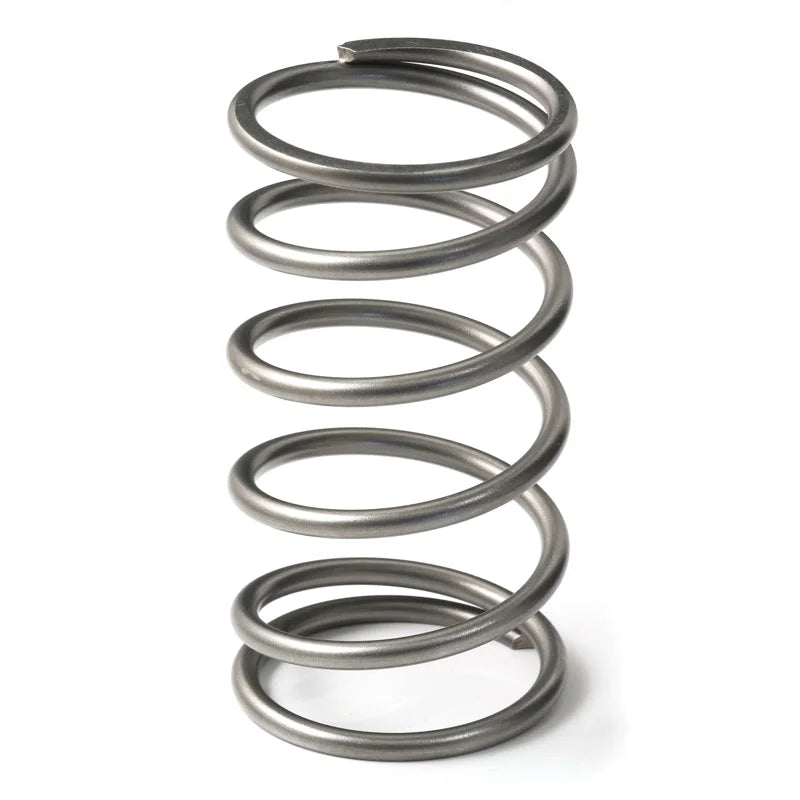 GFB EX50 13psi Wastegate Spring (Outer) - Back View