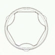 Load image into Gallery viewer, GKN Loebro C.V. Boot Kit 304 965 fits 2008-2011 Saab 9-3 / 9-3X - Detail View