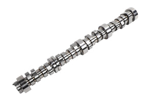 GMP12672469.jpg
