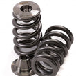 Load image into Gallery viewer, GSC P-D Can-Am Maverick Turbo Conical Valve Spring and Ti Retainer Kit
