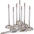 Load image into Gallery viewer, GSC P-D Ford Mustang 5.0L Coyote Gen 3 37.6mm Head (STD) Chrome Polished Intake Valve - Set of 8
