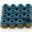 Load image into Gallery viewer, GSC P-D Honda B/K/H Viton 6mm Exhaust Valve Stem Seal Set