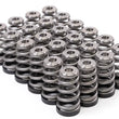 Load image into Gallery viewer, GSC P-D Nissan RB26DETT Extreme Shimless Conical Valve Spring &amp; Ti Retainer Kit (Max Boost PSI 90) - Main Product View
