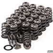 Load image into Gallery viewer, GSC P-D Nissan VQ35 Extreme Conical Valve Spring Titanium Retainer and Spring Seat Kit - Main Product View