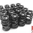 Load image into Gallery viewer, GSC P-D Subaru EJ Series Conical Valve Spring and Ti Retainer Kit