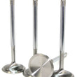 Load image into Gallery viewer, GSC P-D Toyota 3STGE 21-4N Chrome Polished Intake Valve - 33.6mm Head (STD) - SET 8