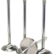 Load image into Gallery viewer, GSC P-D Toyota 3STGE 21-4N Chrome Polished Intake Valve - 34.6mm Head (+1mm) - SET 8