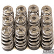 Load image into Gallery viewer, GSC P-D Toyota G16E Conical Valve Spring and Ti Retainer Kit - Detail View