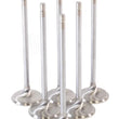Load image into Gallery viewer, GSC P-D Toyota G16E-GTS 32.8mm Head (STD) Chrome Polished Intake Valves - Set of 6 - Main Product View