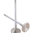 Load image into Gallery viewer, GSC P-D Toyota G16E-GTS 32mm Head (STD) 117.1mm Long Alloy Chrome Polished Exhaust Valve - Single - Side View